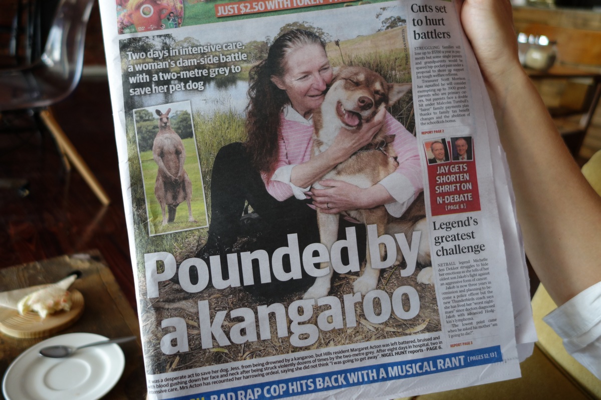 Envoyée en soins intensifs par un kangourou pour sauver son chien